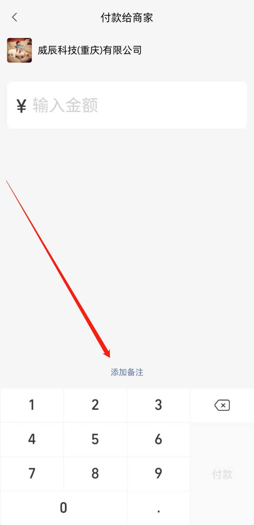 请使用手机支付宝或者微信扫码支付